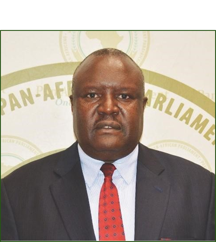 Chief Fortune Charumbira